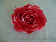 18-217 ������� "����" �������� 15 ��., �������, �������, ����� 17.80