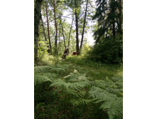 ��������  (70).JPG