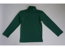 Phoca thumb l 16temn.zelen.jpg