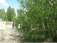 IMG 2821.JPG