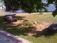 IMG 20160618 155040.jpg