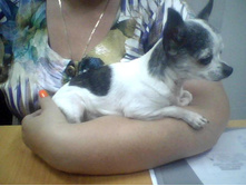 ����������� 239.jpg