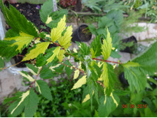 100-120�