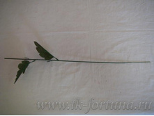 18-177 ���� ��� ���������� � �������� 42 ��., �������, ����� 3.80 50 ��.