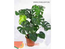 �������� (75) 455.00