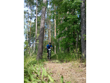 ��������  (69).JPG