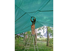 ��������  (1).JPG