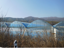 DSCN0650.JPG