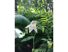 13450247 10209677844325802 3125119710284191096 n.jpg