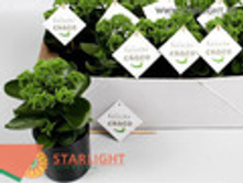 �������� ����� (25) 355.00