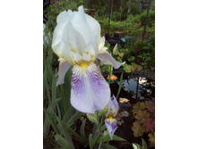 IMG 20160610 184114.jpg