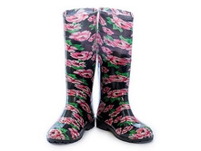 ������ ��� �������