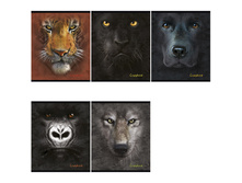 ������� 48�. �5 ������ ��������-1, �������, ���������� ��-��� 26,56.jpg