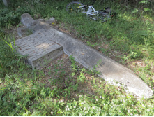 IMG 3867.JPG