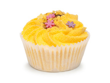 ������ ��� ����� "��������-���������"