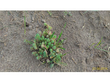 P 20160623 192458 2 p.jpg