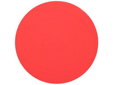 Professional 707.jpg