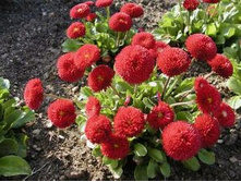 �������� ����������