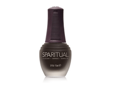 80492 Determination (ODYSSEY Collection' 14)