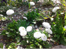 ���������� ������� ��� (�ϣ ����)