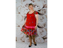 2/13-2160� ������� ��� "��������"