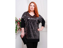 ������ CI ������