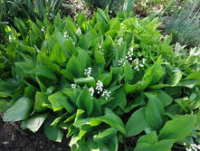 ������ 30�