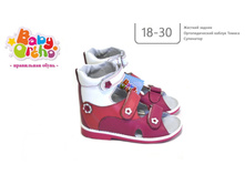 ������ 6