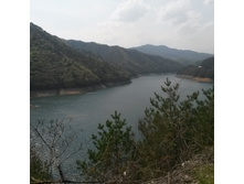 IMG 20160418 143106.jpg