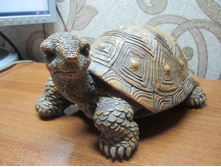 �������� 012.jpg