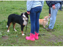 IMG 20160608 191959.jpg