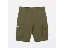 1550� ����� Anteater.jpg