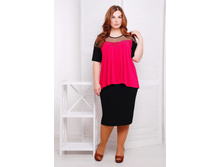 ������ CI ������