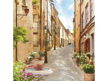 ���� ������.jpg