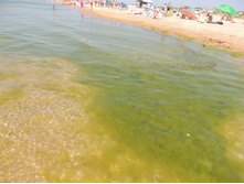 �� ������ ����