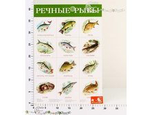 ���2165 ������ ������ ���� 2165 25,67.jpg