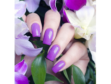 293-29 ����-��� ���������� ����������� �������, 6,5��.jpg