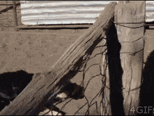 ������ ����� ������