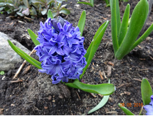 DSC02171.JPG