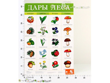 ���2093 ������ ���� ���� 2093 25,67.jpg