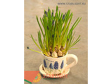 ������� (25) 495.00