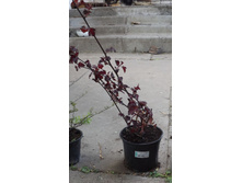 �������������