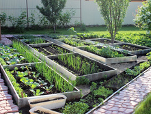 �������������� ����