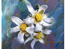 FB IMG 1465382853650[1].jpg