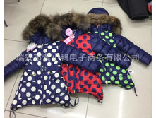 � ����.����