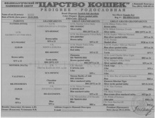 ����������� Kessi.jpg