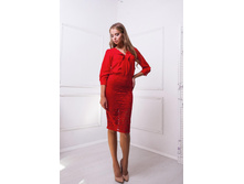 ������ CIL �����