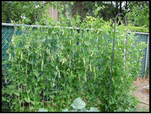 ��������� ����� 298 ���. ��� ������, ����, ������, ������, ������, ���, ��������� � ������� ������������� ����������.