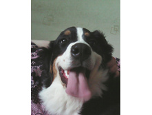 ������-�������