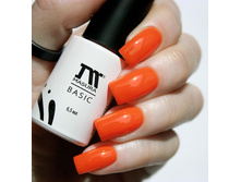 294-80 ����-��� BASIC ������ ������, 6,5 ��.jpg